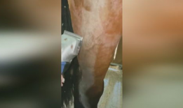 剃阴毛视频,视频教学，轻松掌握私密护理