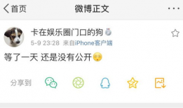 吃瓜被爆料小说在线阅读,揭秘小说世界背后的爆料风云